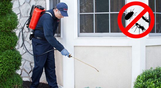 Sincik Hamam Böceği İlaçlama böcek ilaçlama ve haşere kontrolü — ilaclama-tr.com